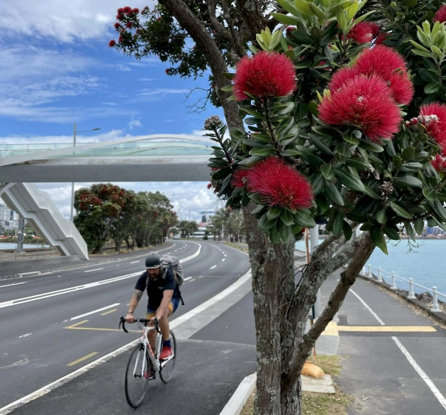 Man riding bike through Auckland