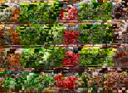 Vegetables in Supermarket