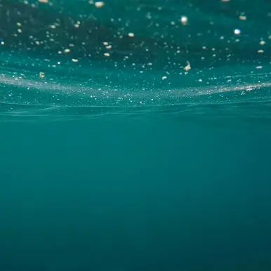 Surface of water