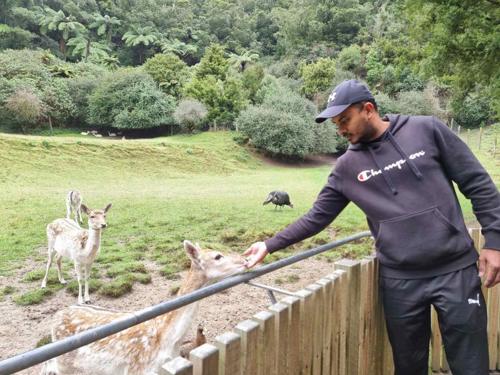 Anish feeding deer